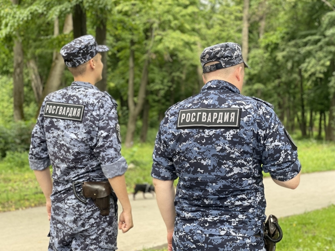 В Пронском районе Рязанской области сотрудники вневедомственной охраны Росгвардии задержали водителя, совершившего наезд на пенсионерку   