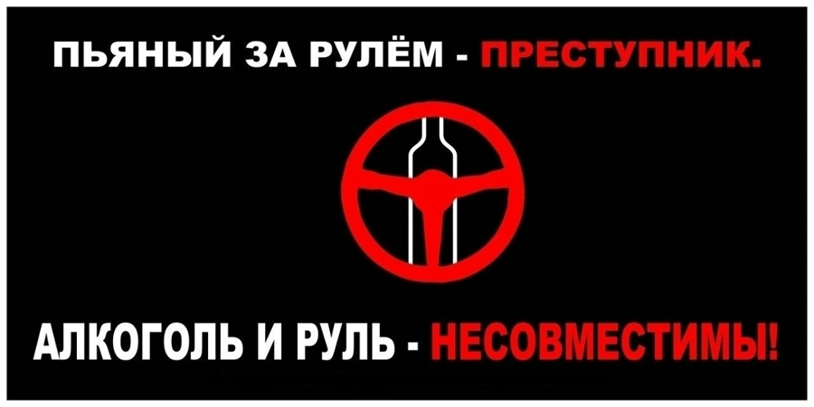 За прошедшие выходные сотрудники Росгвардии задержали в Рязанской области двоих нетрезвых водителей