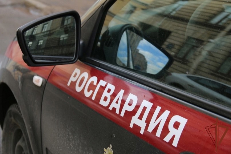 В Рязанской области сотрудники Росгвардии задержали гражданку, находящуюся в розыске