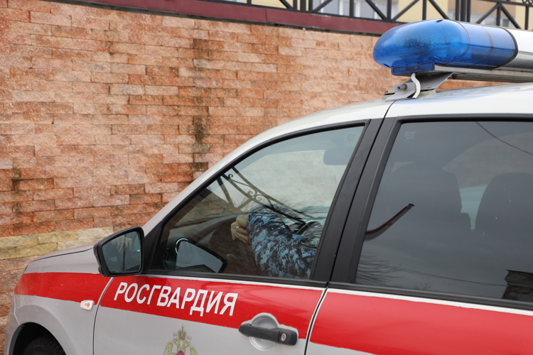  Рязанской области сотрудники Росгвардии задержали гражданина, находящегося в розыске